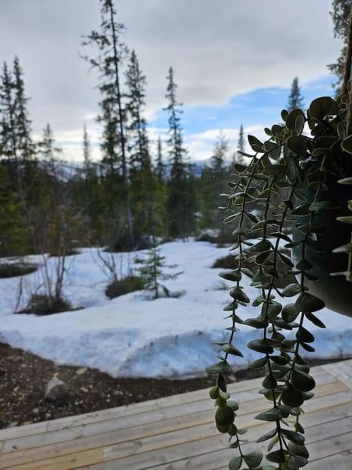 Cozy Mountain Cottage With Beautiful Views & Sauna Beitostolen Εξωτερικό φωτογραφία